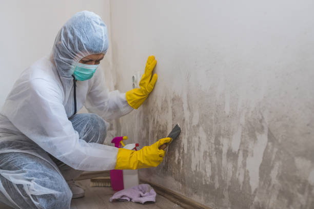 Water Damage Restoration in Desoto, TX