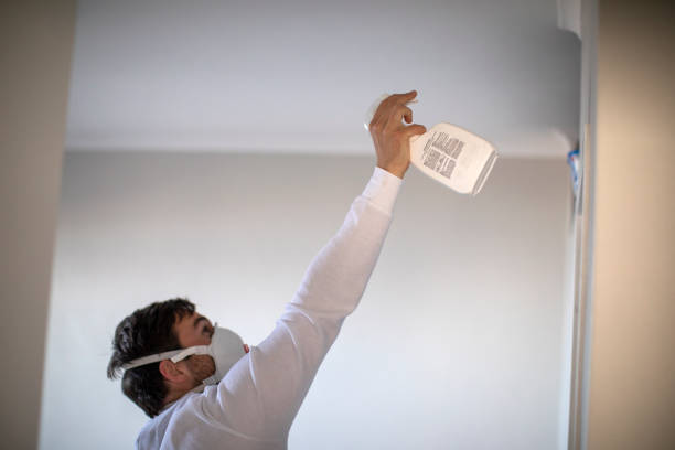 Best Fast Mold Removal  in Desoto, TX