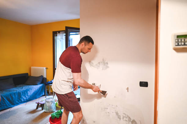 Best Mold Cleaning Services  in Desoto, TX